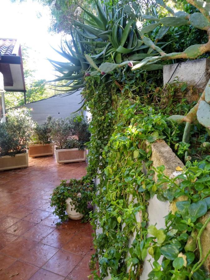 Tramonto Blu Apartment Palermo Exterior photo